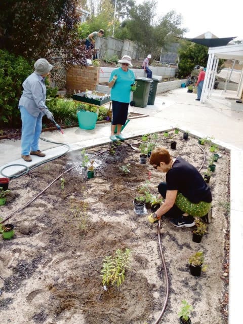 Volunteer green thumbs enliven local gardens for aged care residents