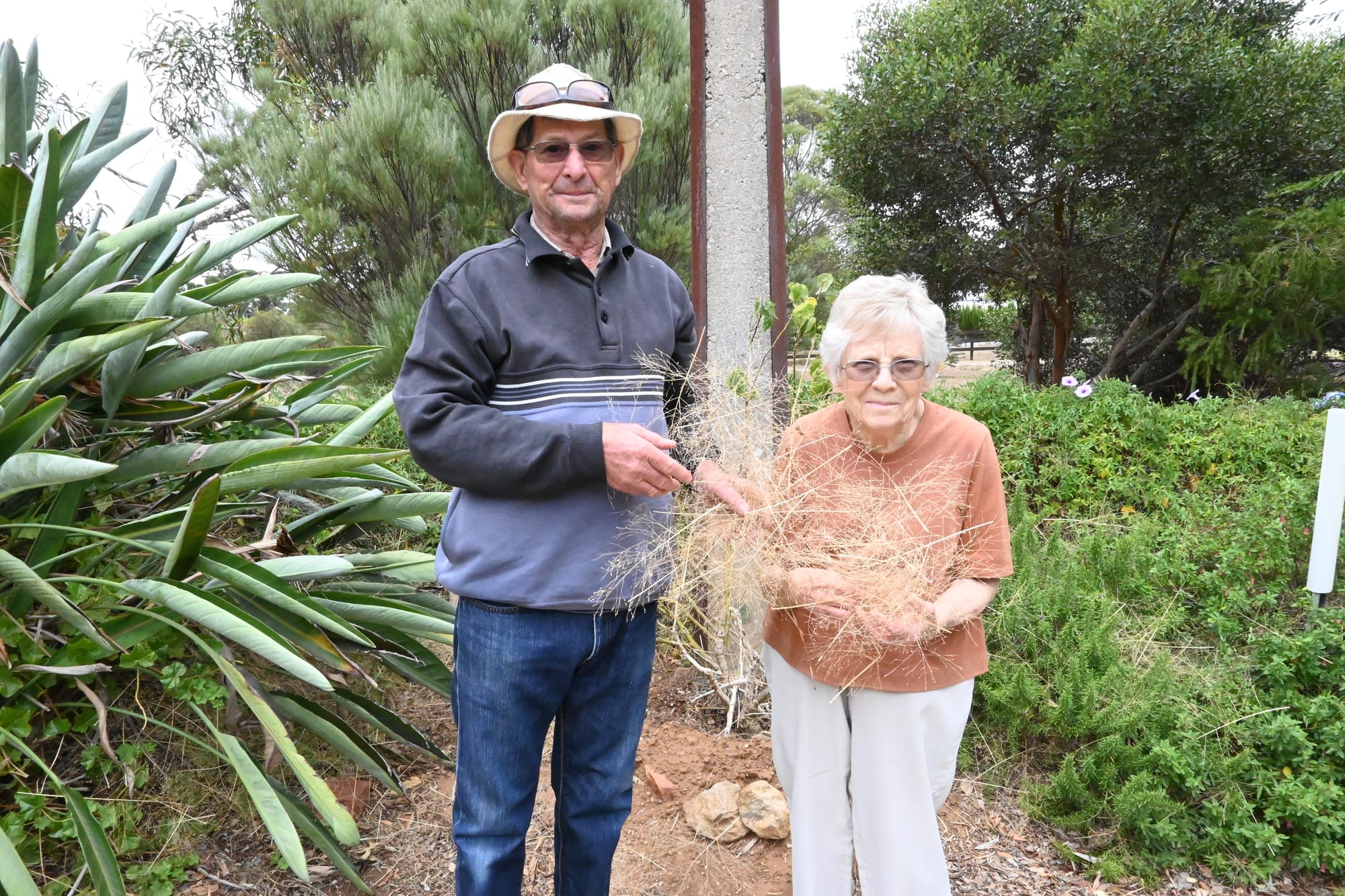 Strathalbyn residents experiencing the evil spell of witchgrass found around town