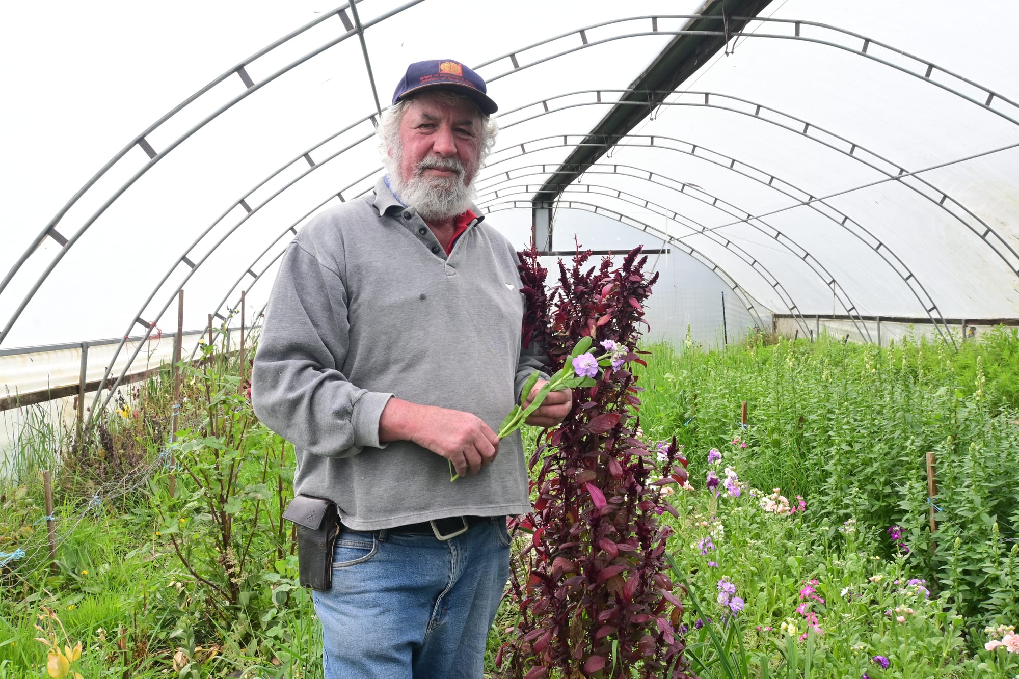 Cloudy winter weather affects local flower growth