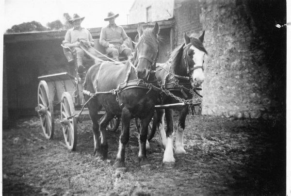 Celebrating History Month: Life in Strathalbyn through the years