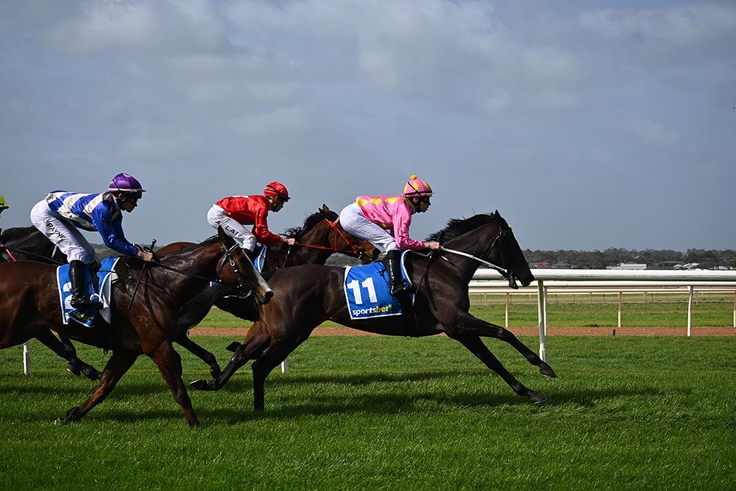 Field of fortune for Strathalbyn race-goers in season opener