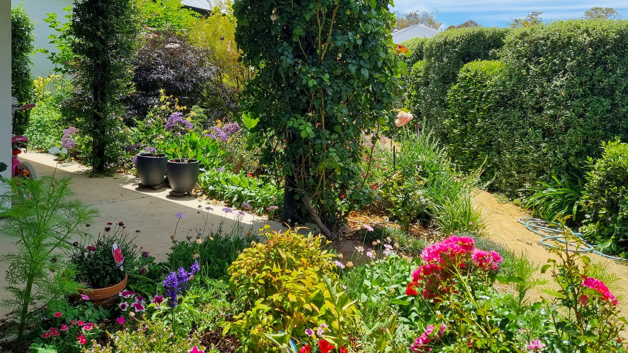 Strathalbyn open gardens ready to bloom this weekend