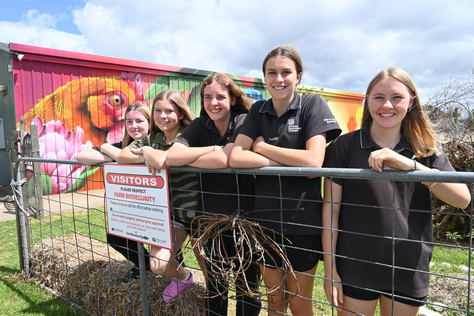 New Goolwa mural takes centre stage