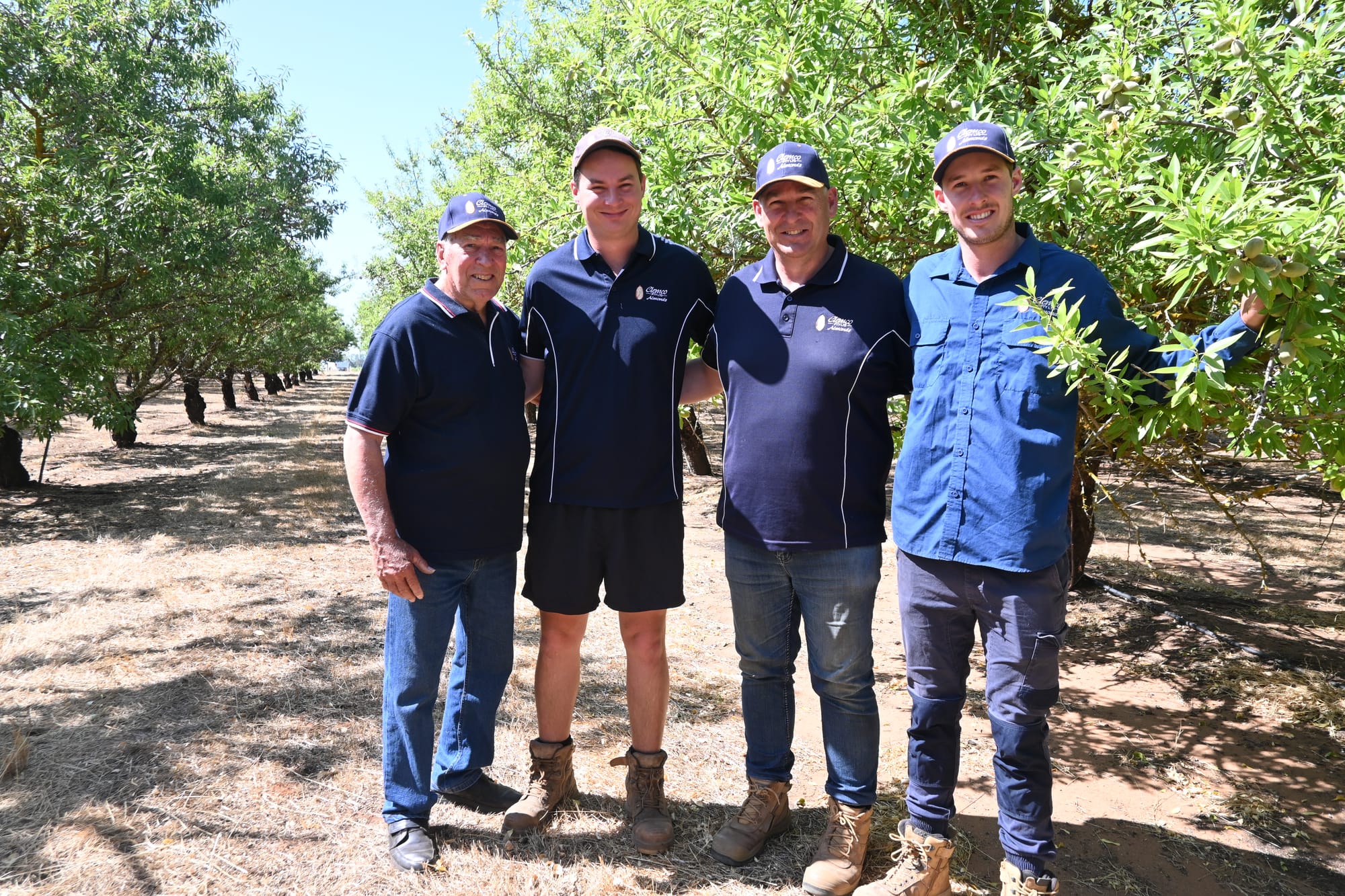 TIME TO GO NUTS: Almond harvest approaches