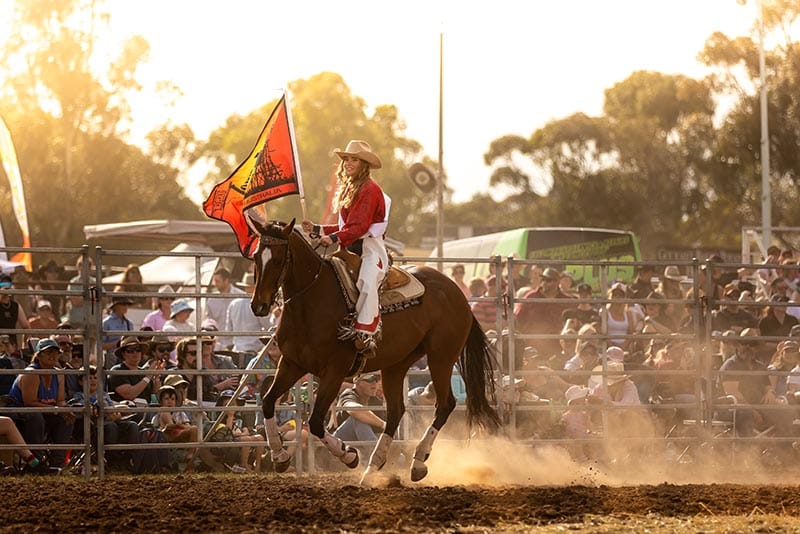 Saddling up for new royalty