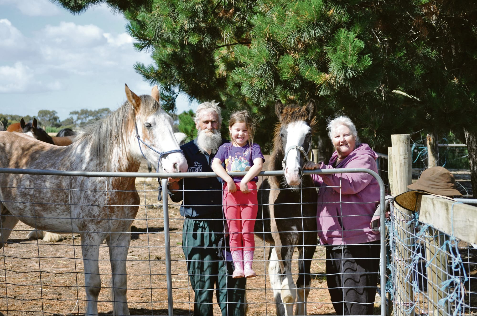 Strathalbyn couple raising gentle giants