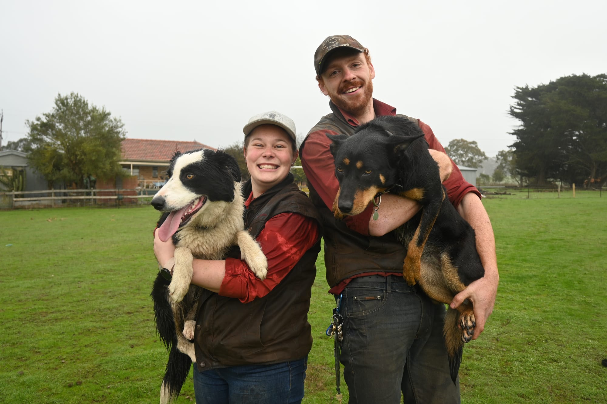 Battle of working dogs