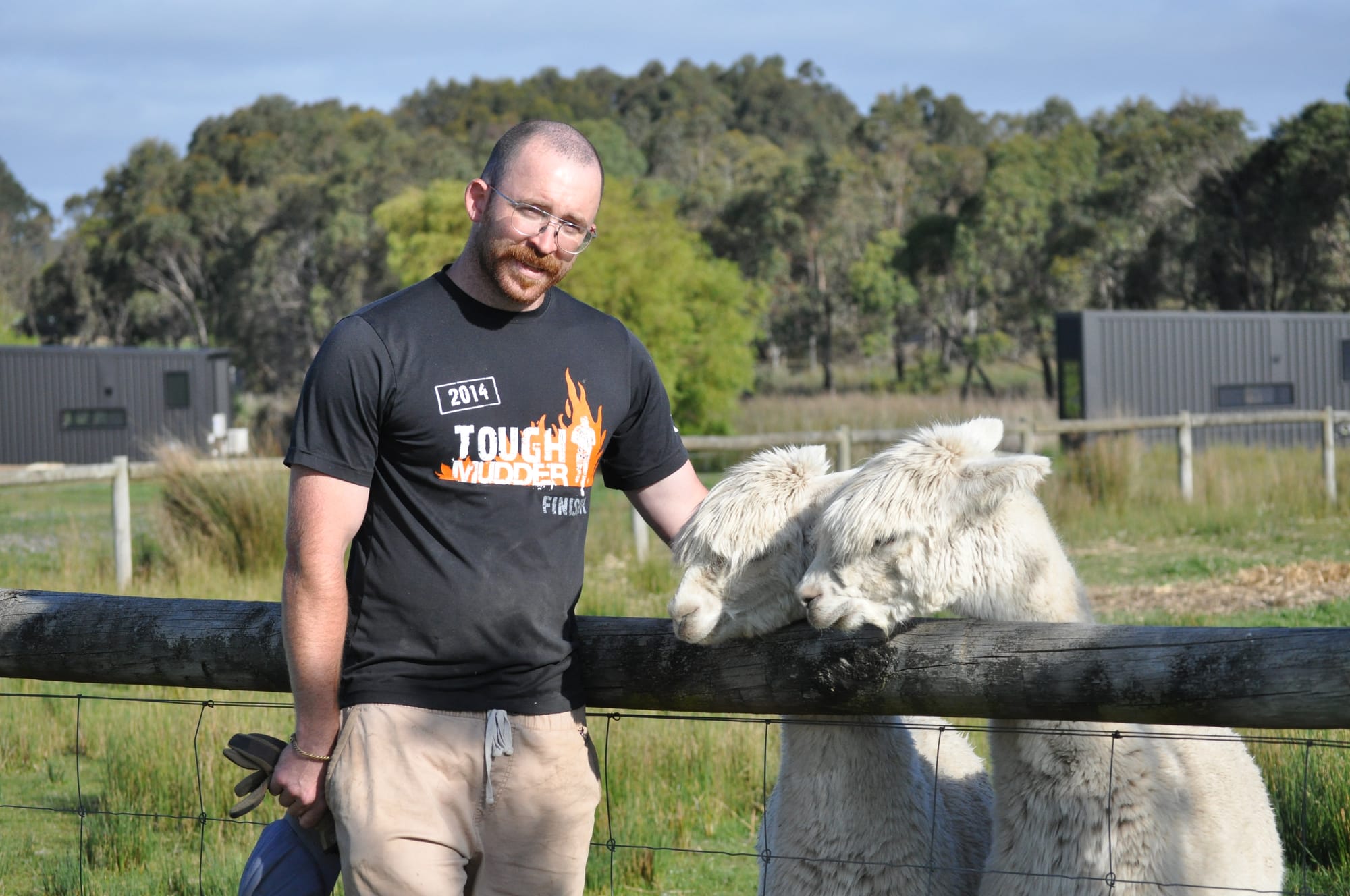 Alpacas make ‘great friends’ for local farmer