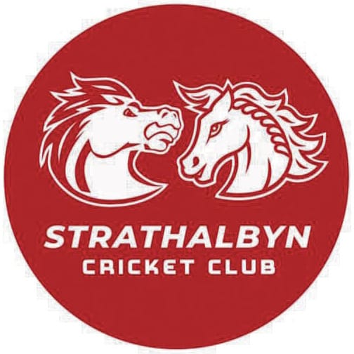 Strathalbyn Cricket Club launches new, ‘inclusive’ logo