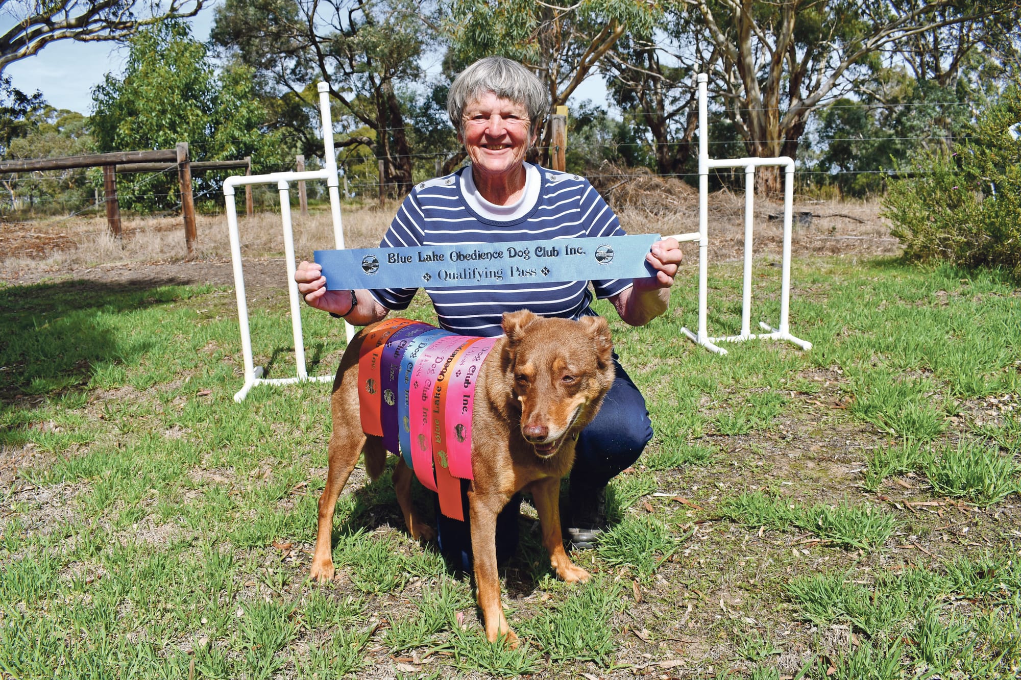 Dog agility bonds Macclesfield friends fur-ever