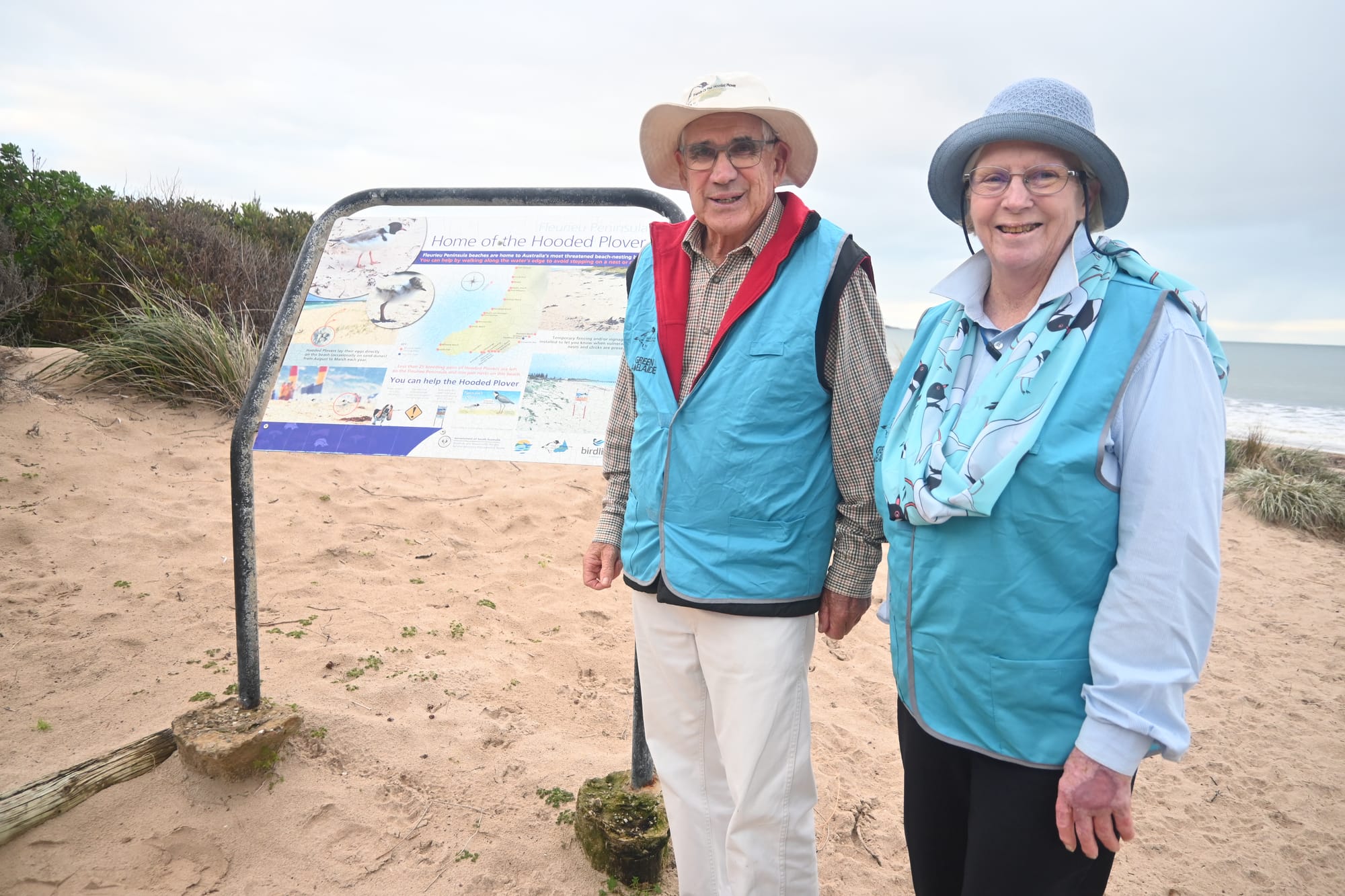 Local bird watchers’ advice for hooded plover breeding season
