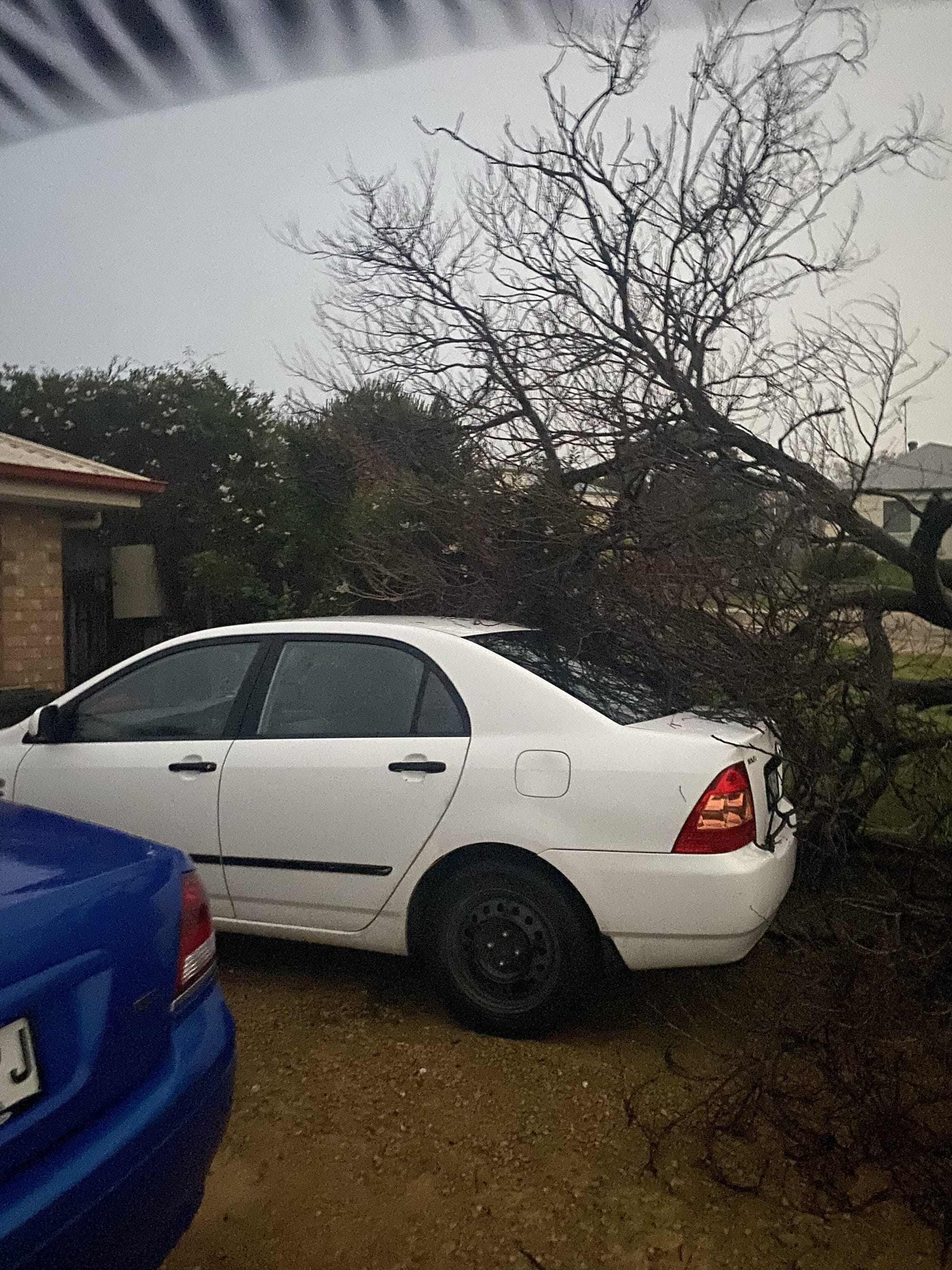 Wet and wild weather hits region as local SES members respond to call-outs