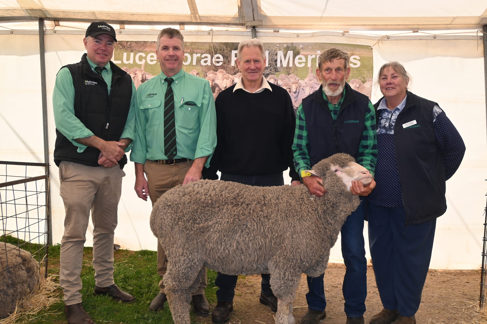 A baaa-eautiful annual stud sale sees 45 rams go out the door
