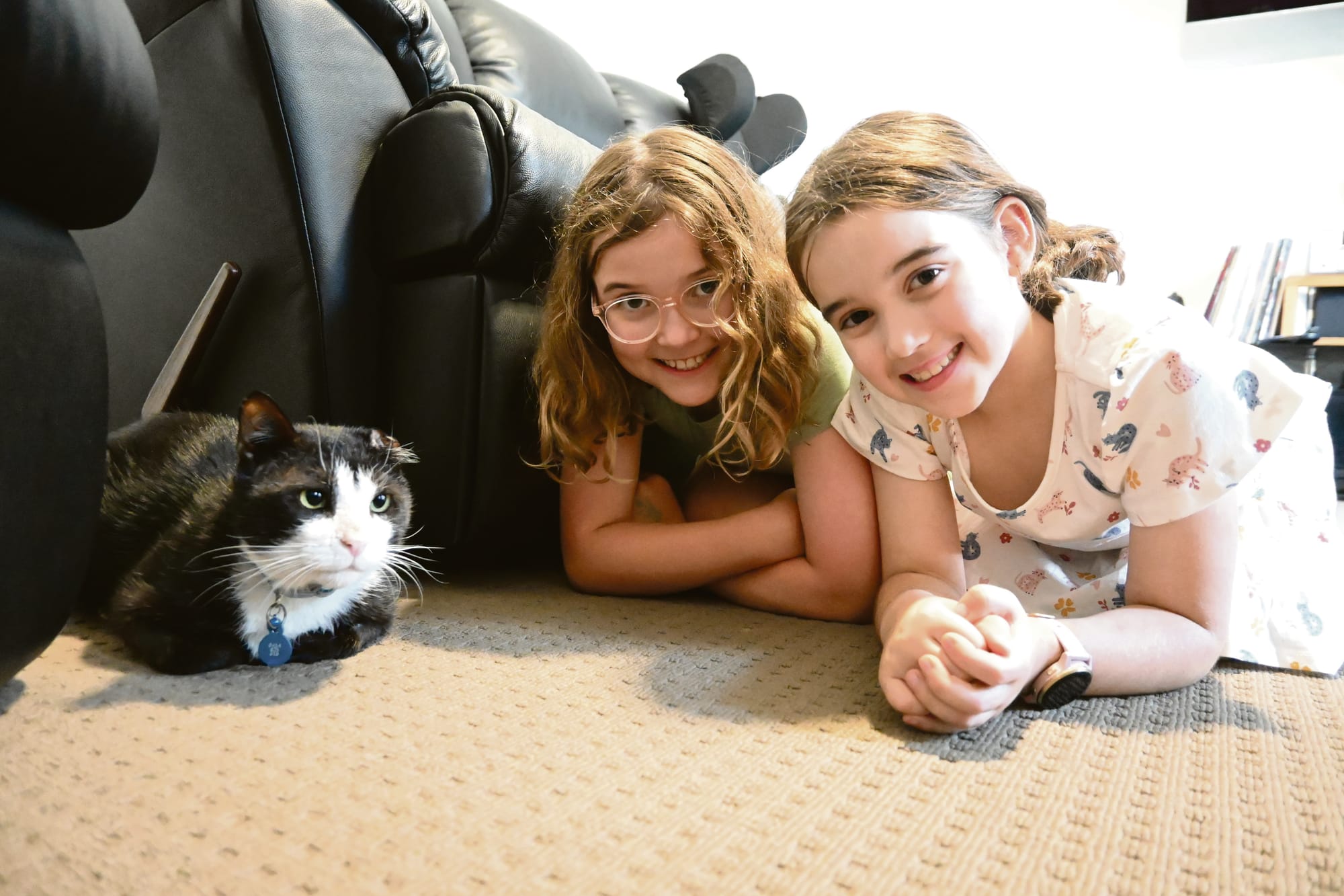Call to adopt or foster a furry friend