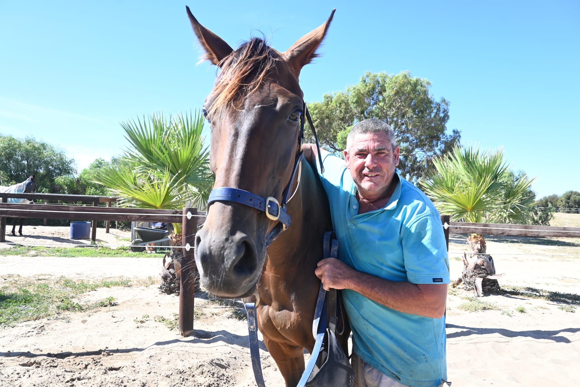 Local horse comes second