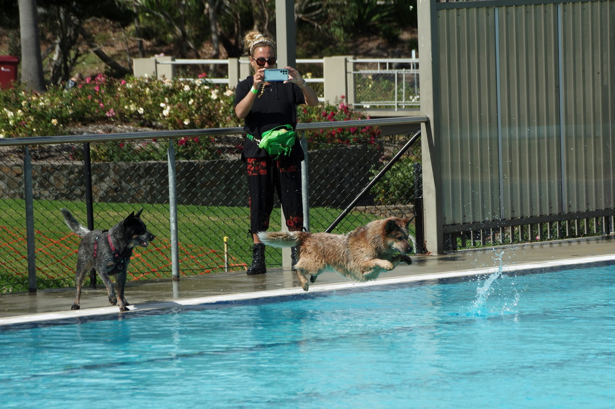 Strathalbyn pool pawty an absolute ball!