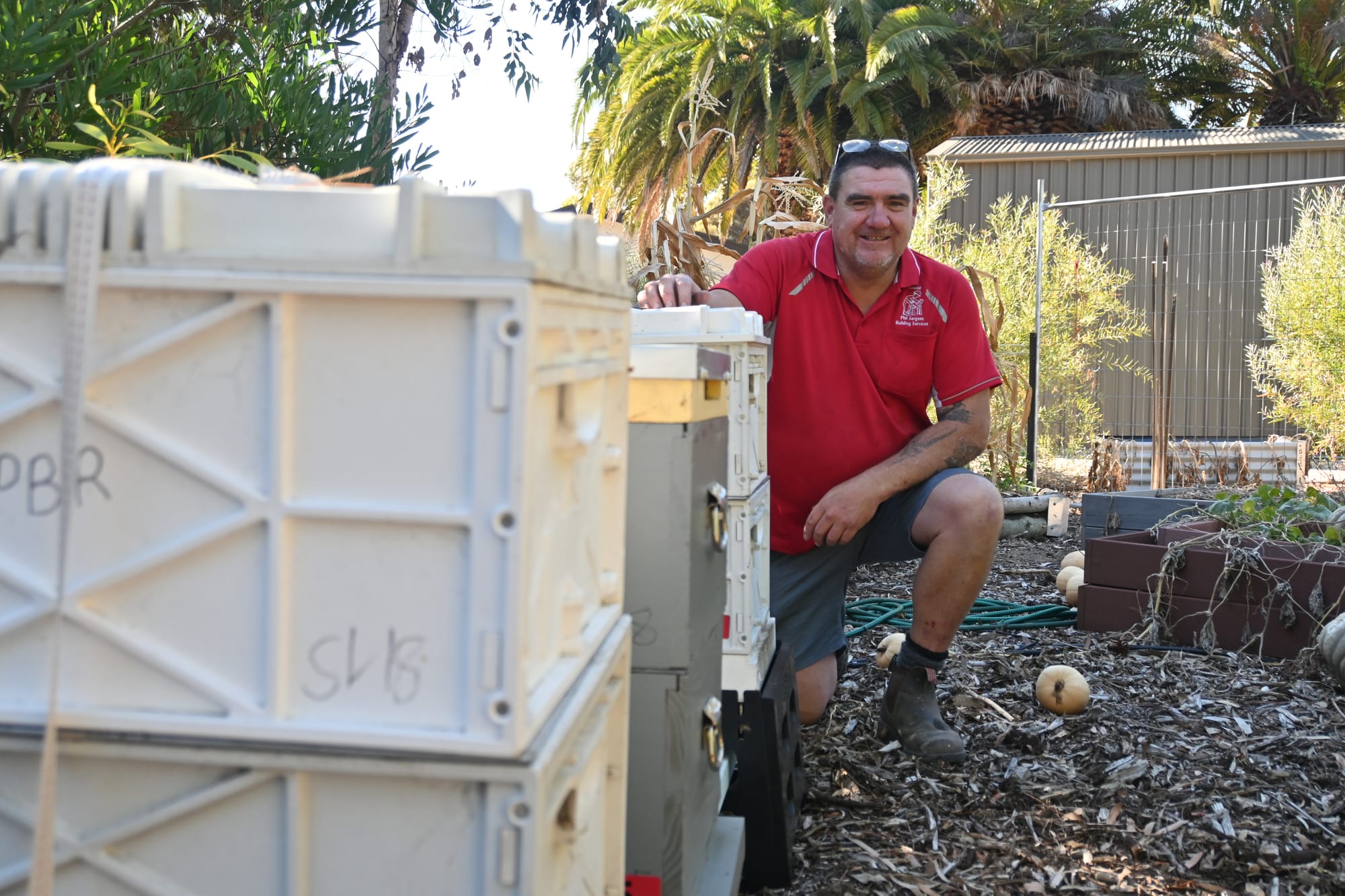 Honey, check this out