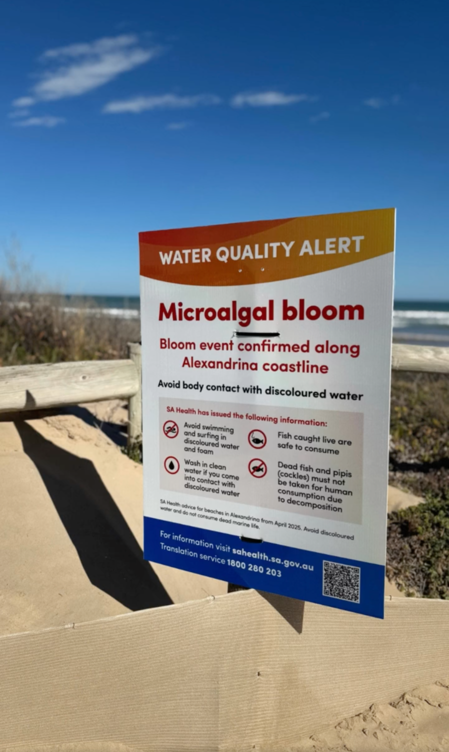 SEAING GREEN: Algae concerns spark a community forum...