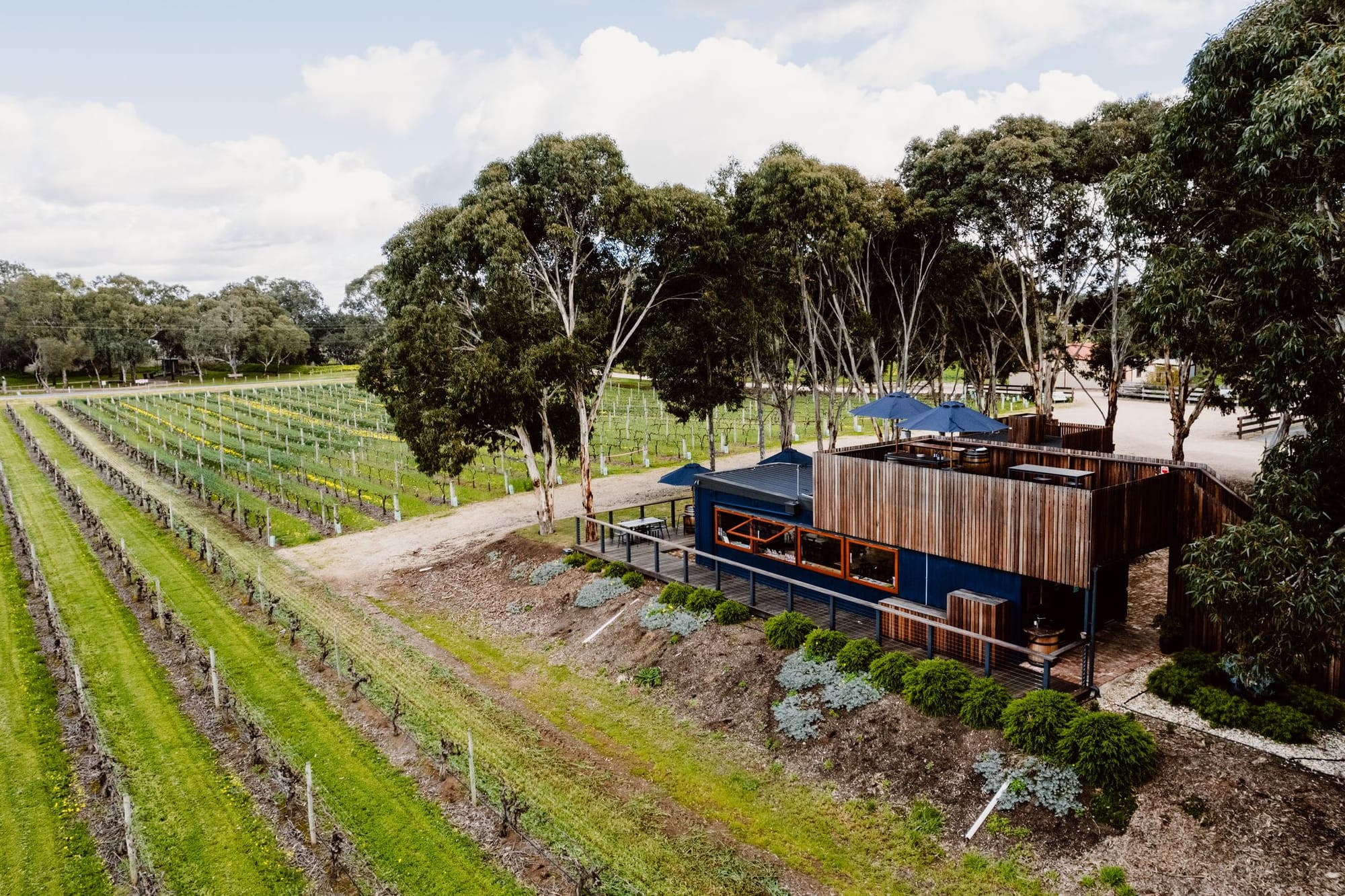 Glowing line up for Langhorne Creek’s new-look wine fest