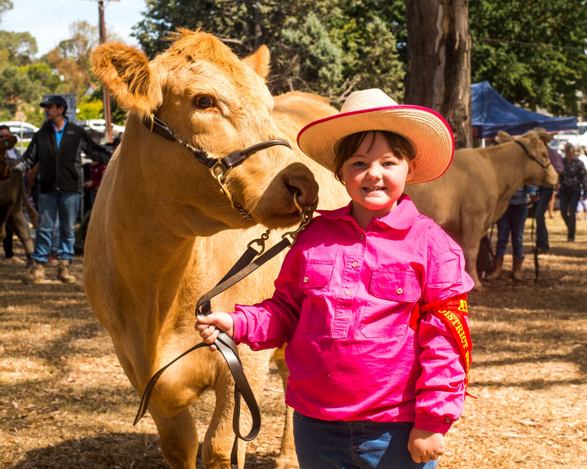 ‘Excellent’ family-friendly Mt Barker Show