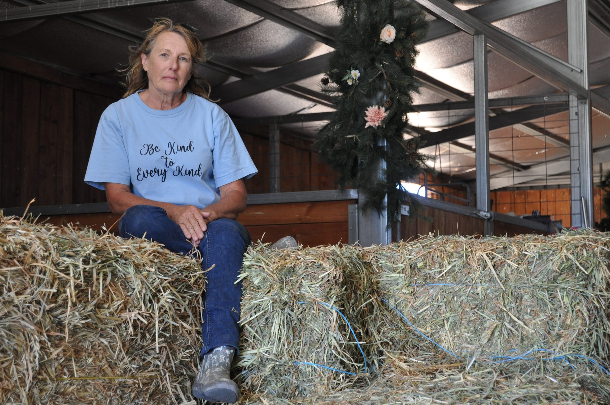 ‘Growing rocks’ Dry times hit Freedom Hill sanctuary