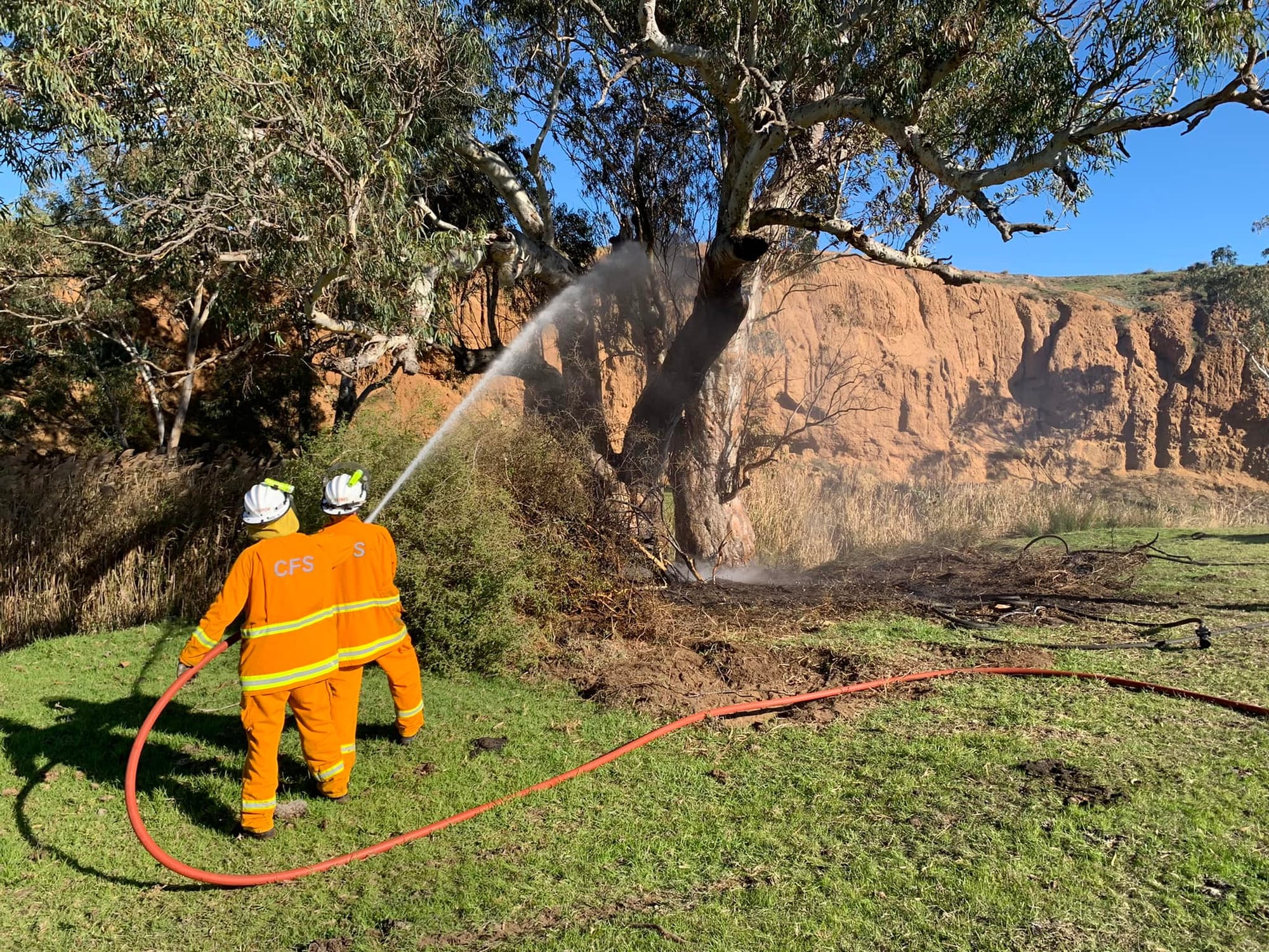 Tree fire at Willyaroo keeps local Country Fire Service volunteers busy