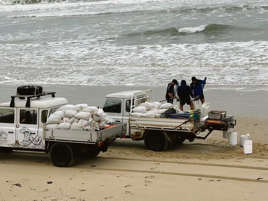 ‘Unbelievable’ boom in pipis