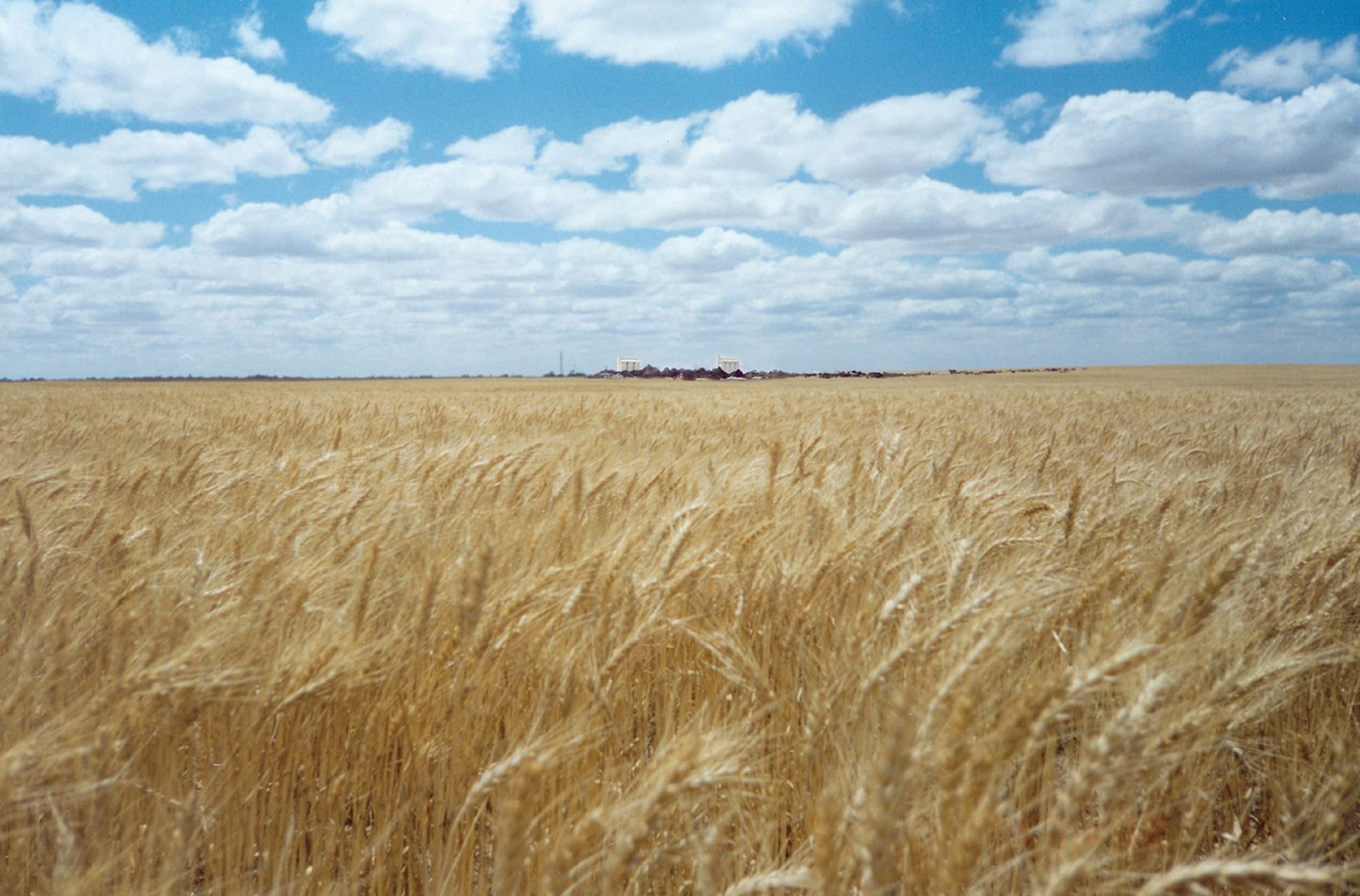 Grain Harvest Code of Practice remains unchanged