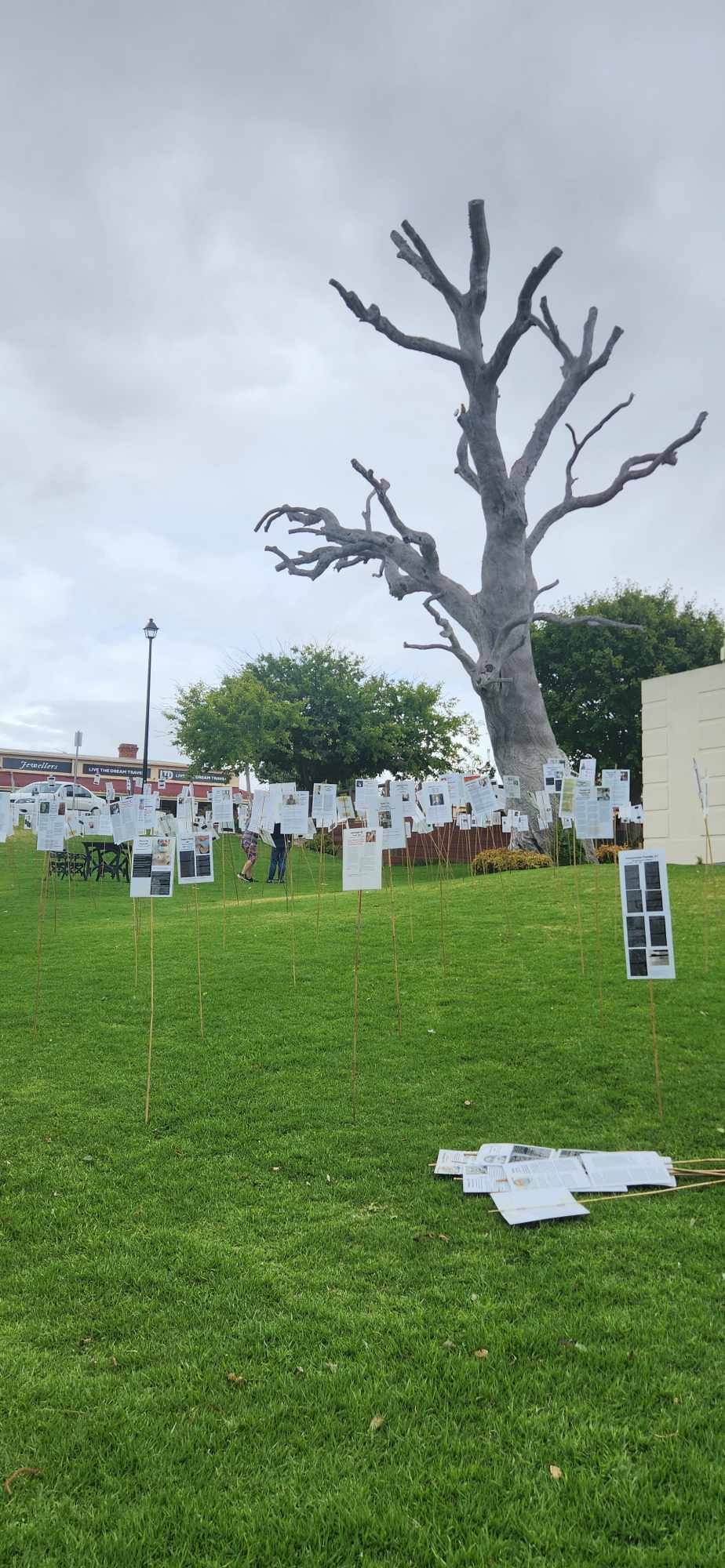 ‘Forest of the Fallen’ display erected at Memorial Gardens