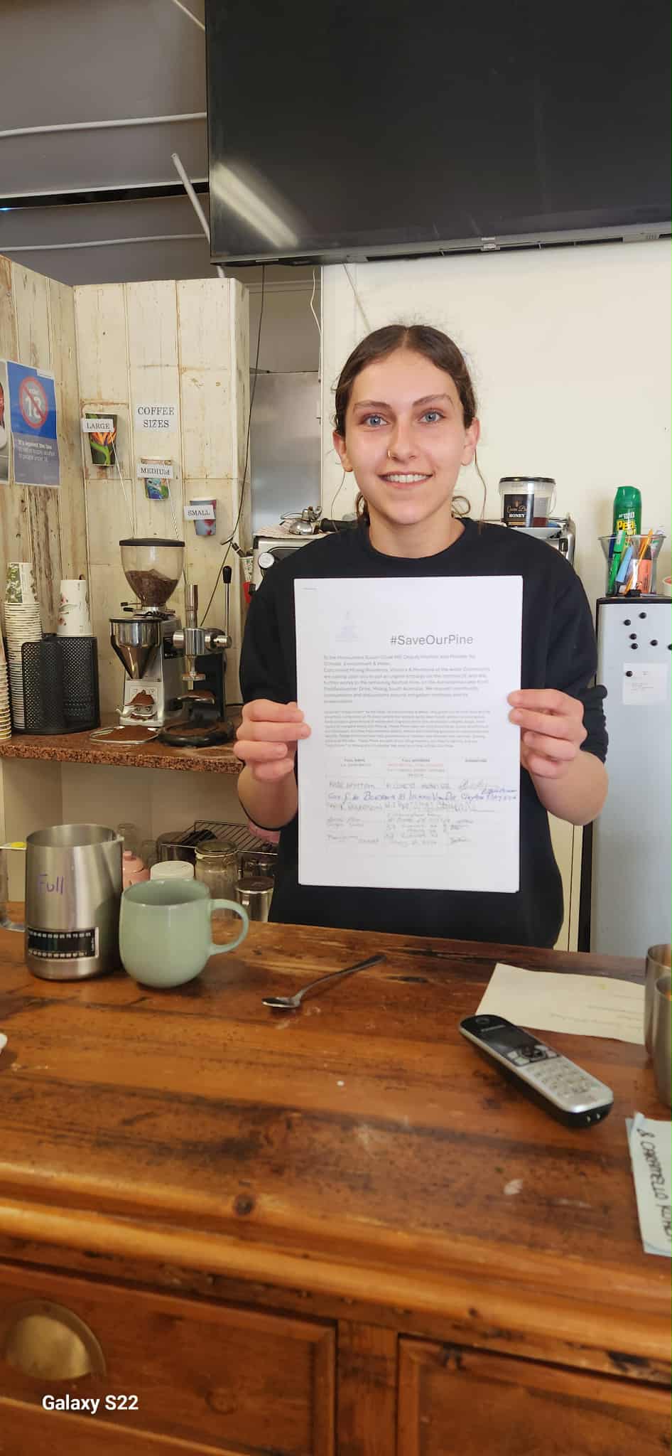 Growing support to save Milang tree