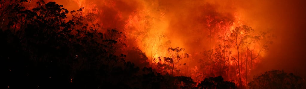 Alexandrina Council commits to bushfire safety and awareness
