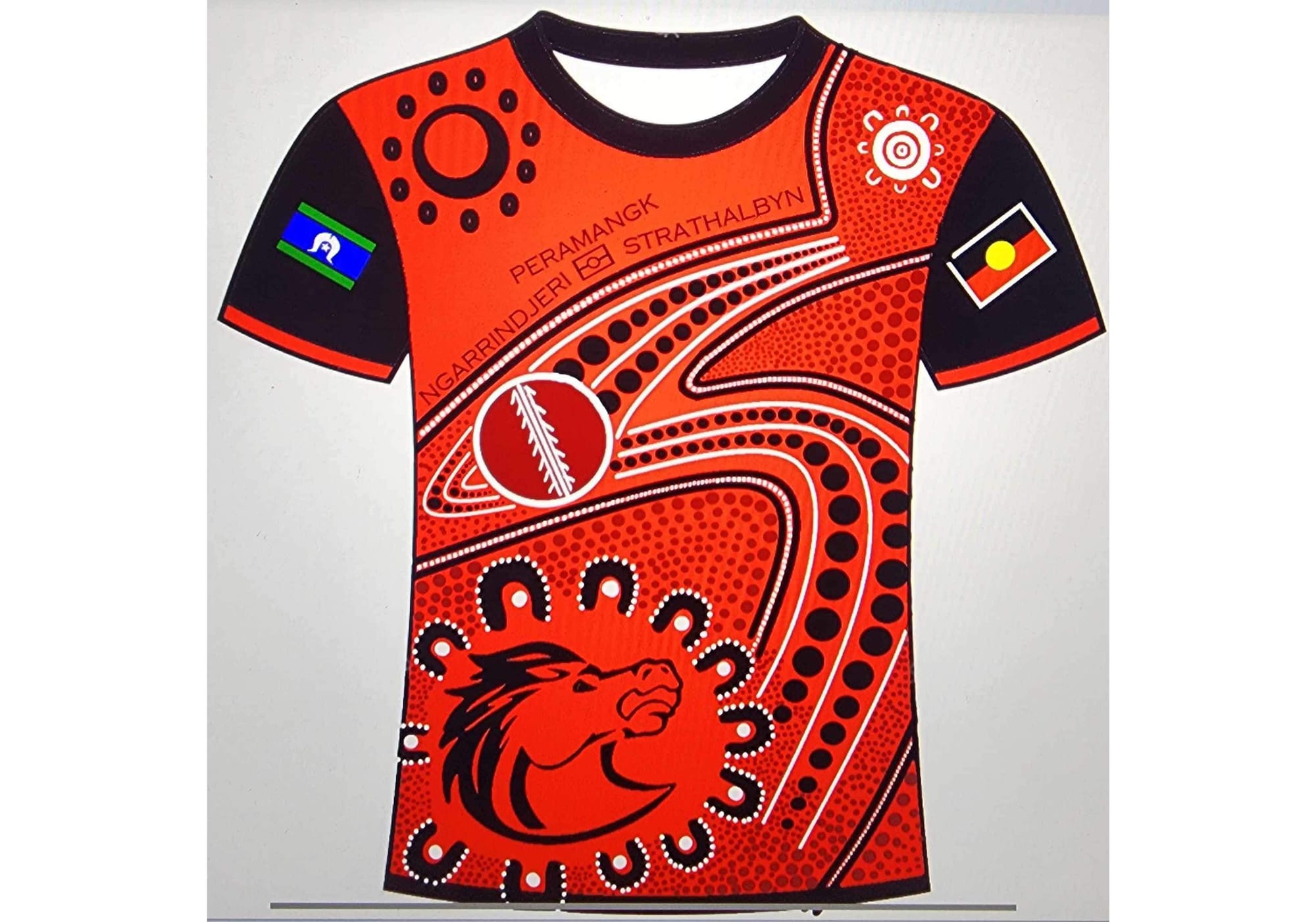 Strathalbyn Cricket Club unveils new indigenous design