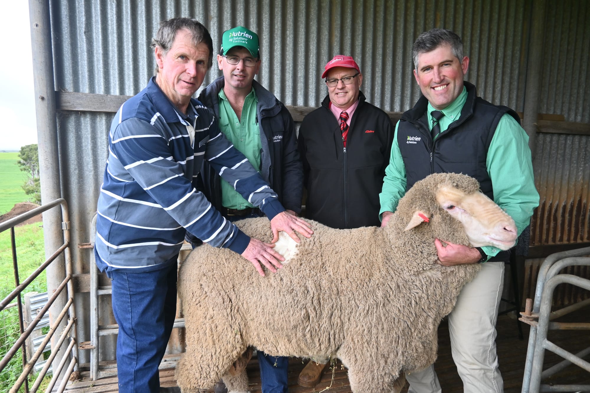 Dalveen ram sale has a woolly good turn out