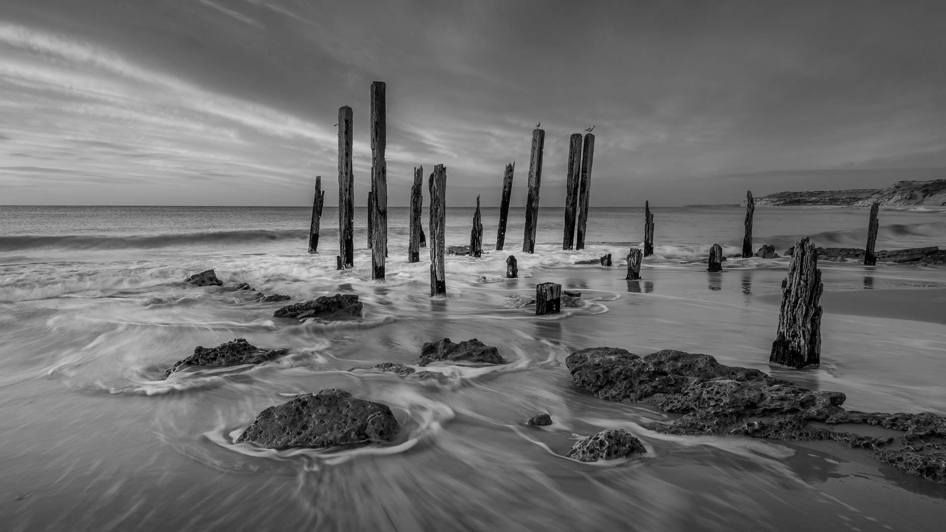 South Coast Camera Club gets 2023 under way with big turn out