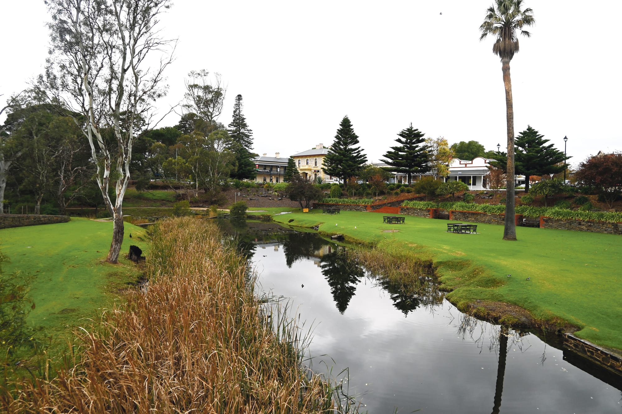 Strathalbyn misses out on major Ag town award