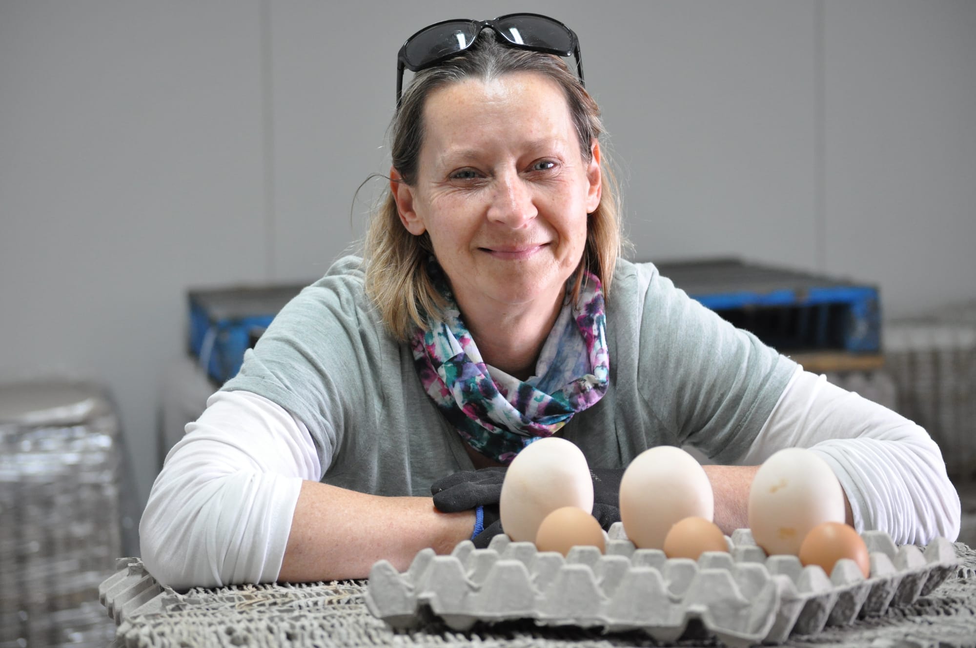Egg-citement over giant find at a chicken farm near Milang