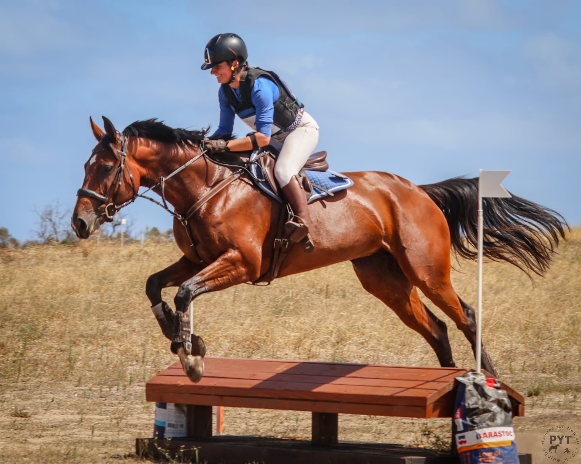 Horse trials were ‘best event to date’