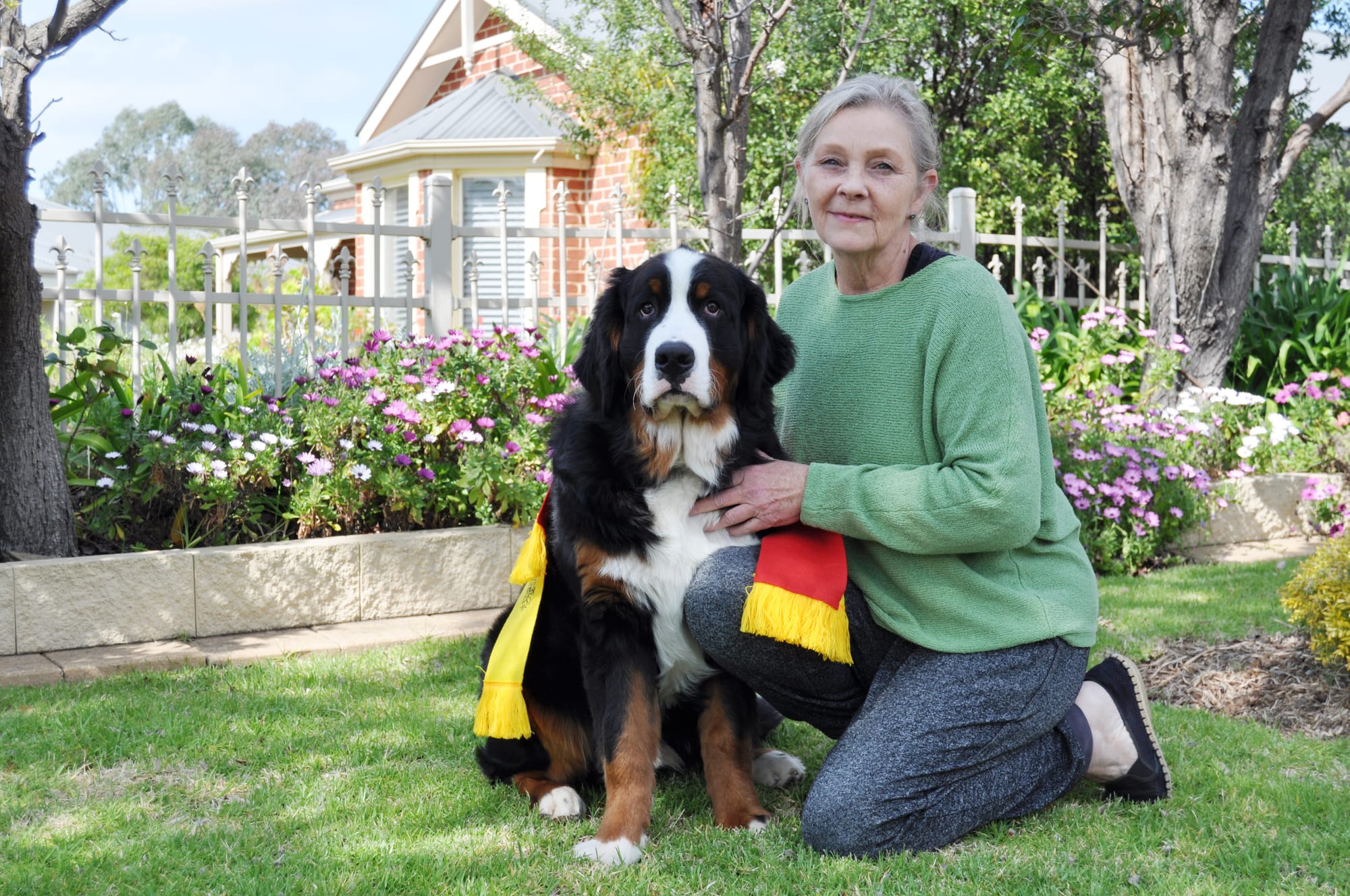 Local Bernese triumphs at Royal Show