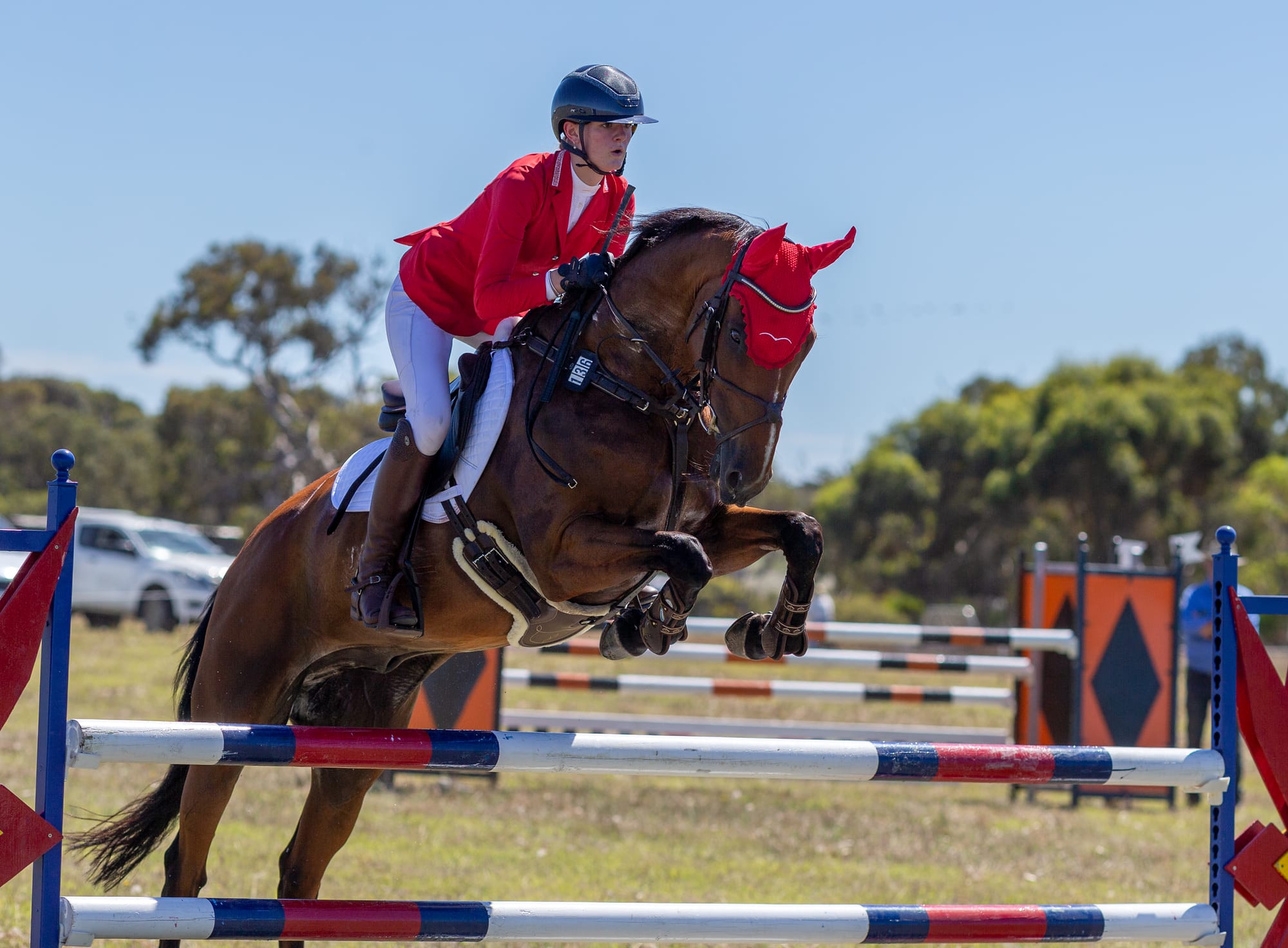 Leaping success for horse competition
