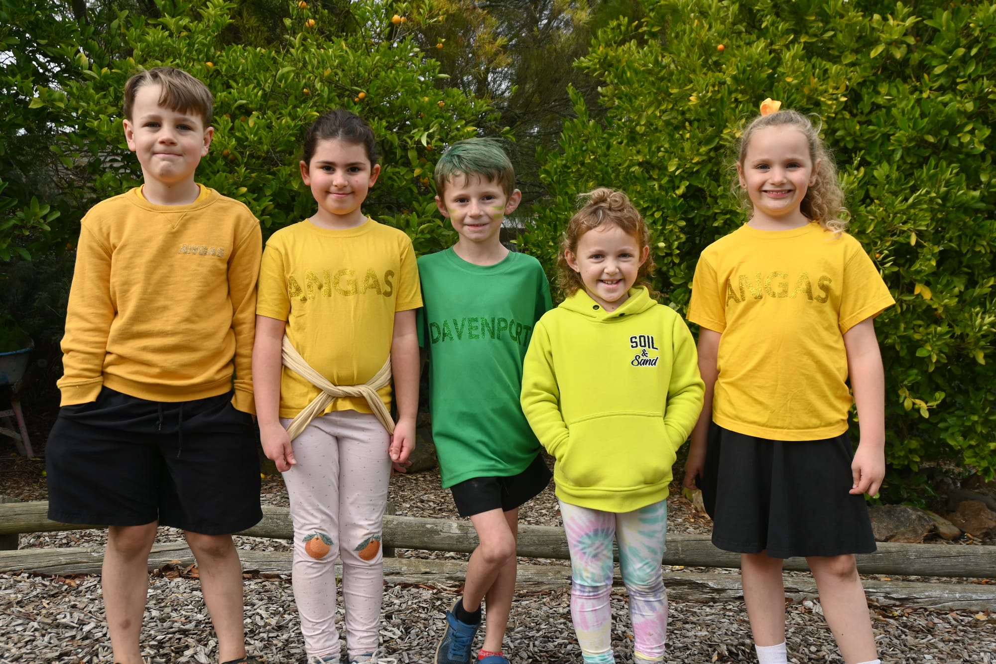 Davenport crowned Macclesfield Primary Sports Day champions