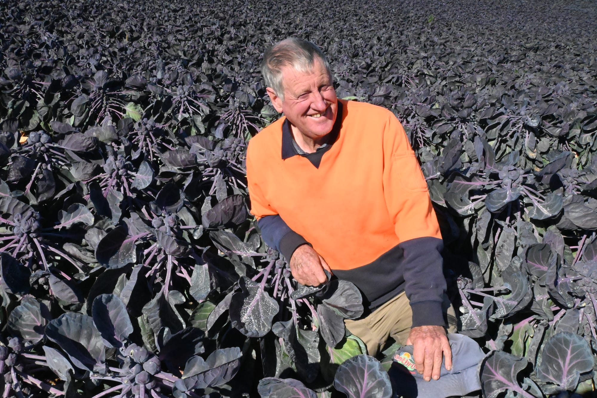 Mount Barker sprouts across the world