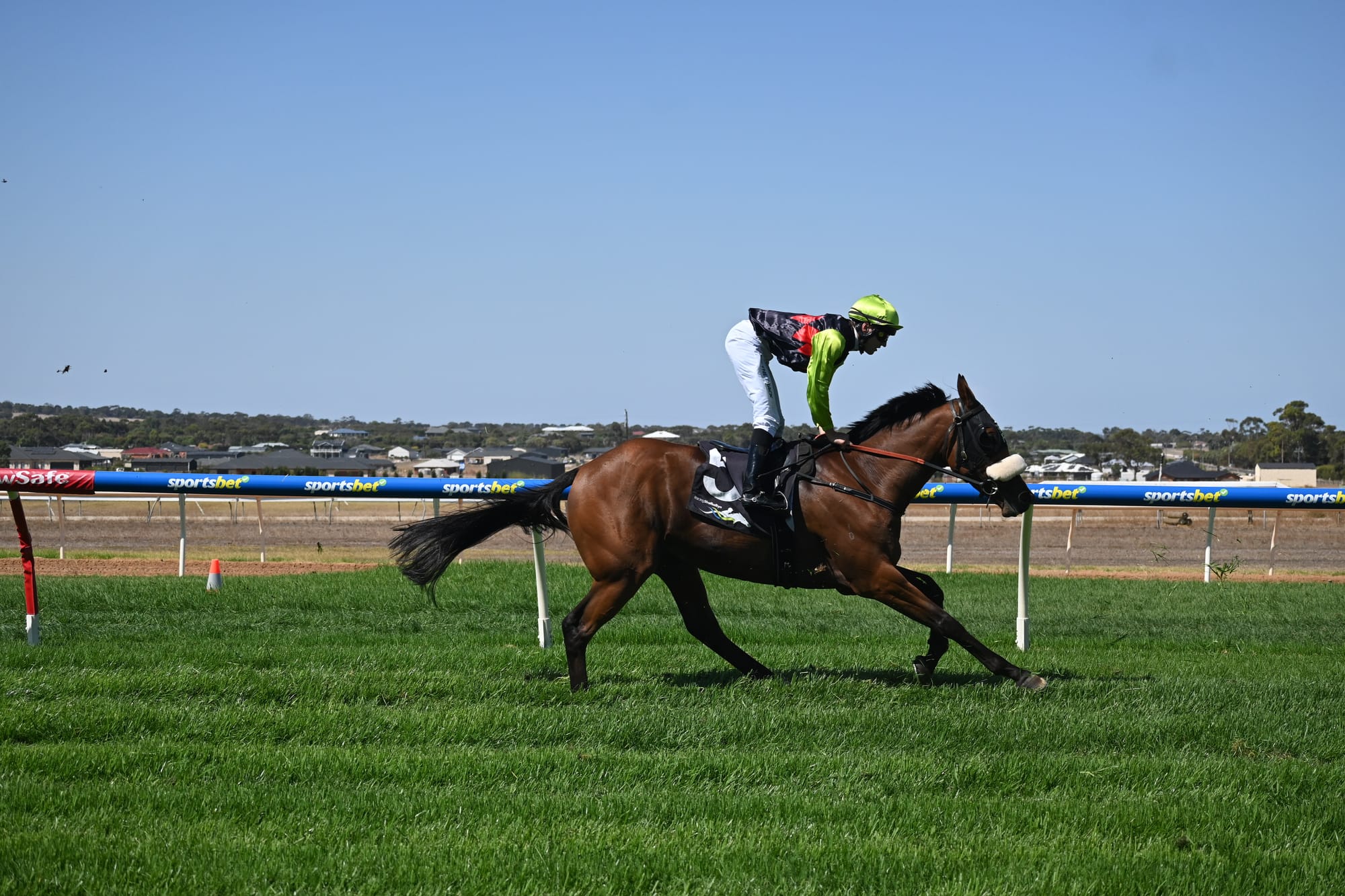 Local trainers win big at Publicans Race Day