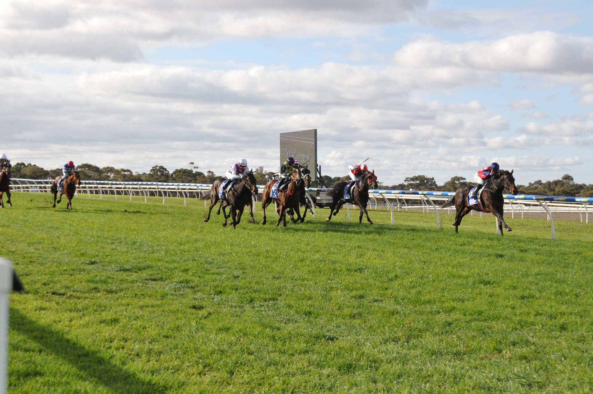Action aplenty at Daish Irrigation and Fodder Family Race Day