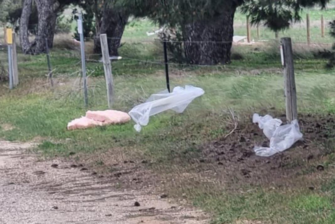 Strathalbyn couple call for clean-up along Adelaide Road