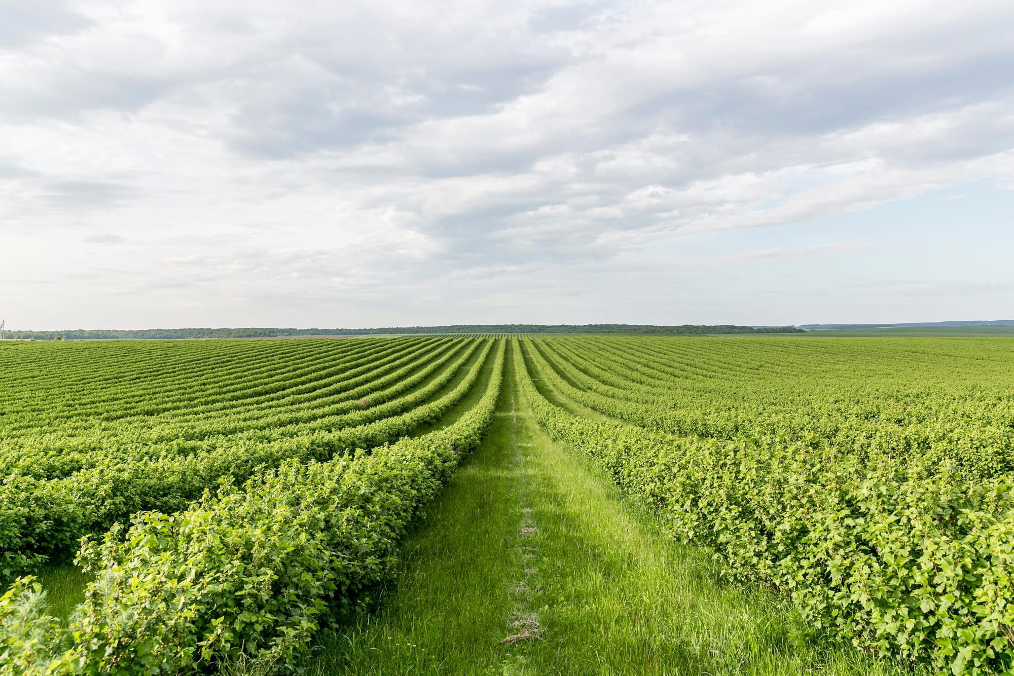 Call SafeWork SA for advice on improving farm safety