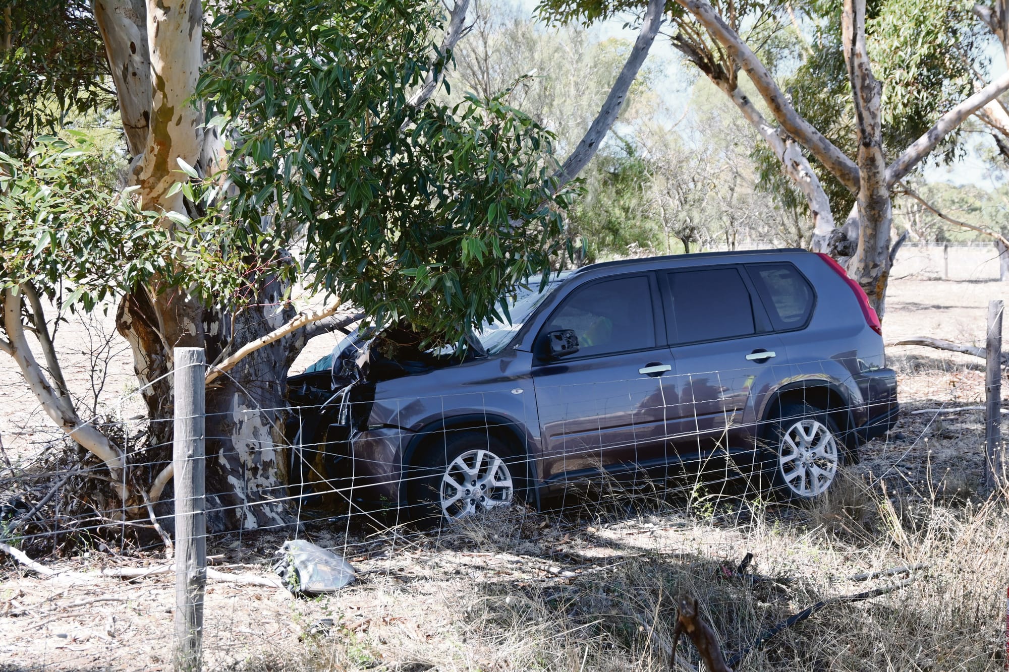 Tragedy at Strathalbyn as road toll continues to rise