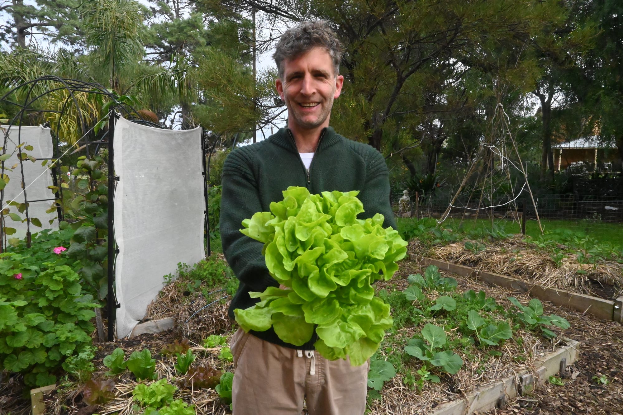 LETTUCE GROW: Local residents encourage to produce own food