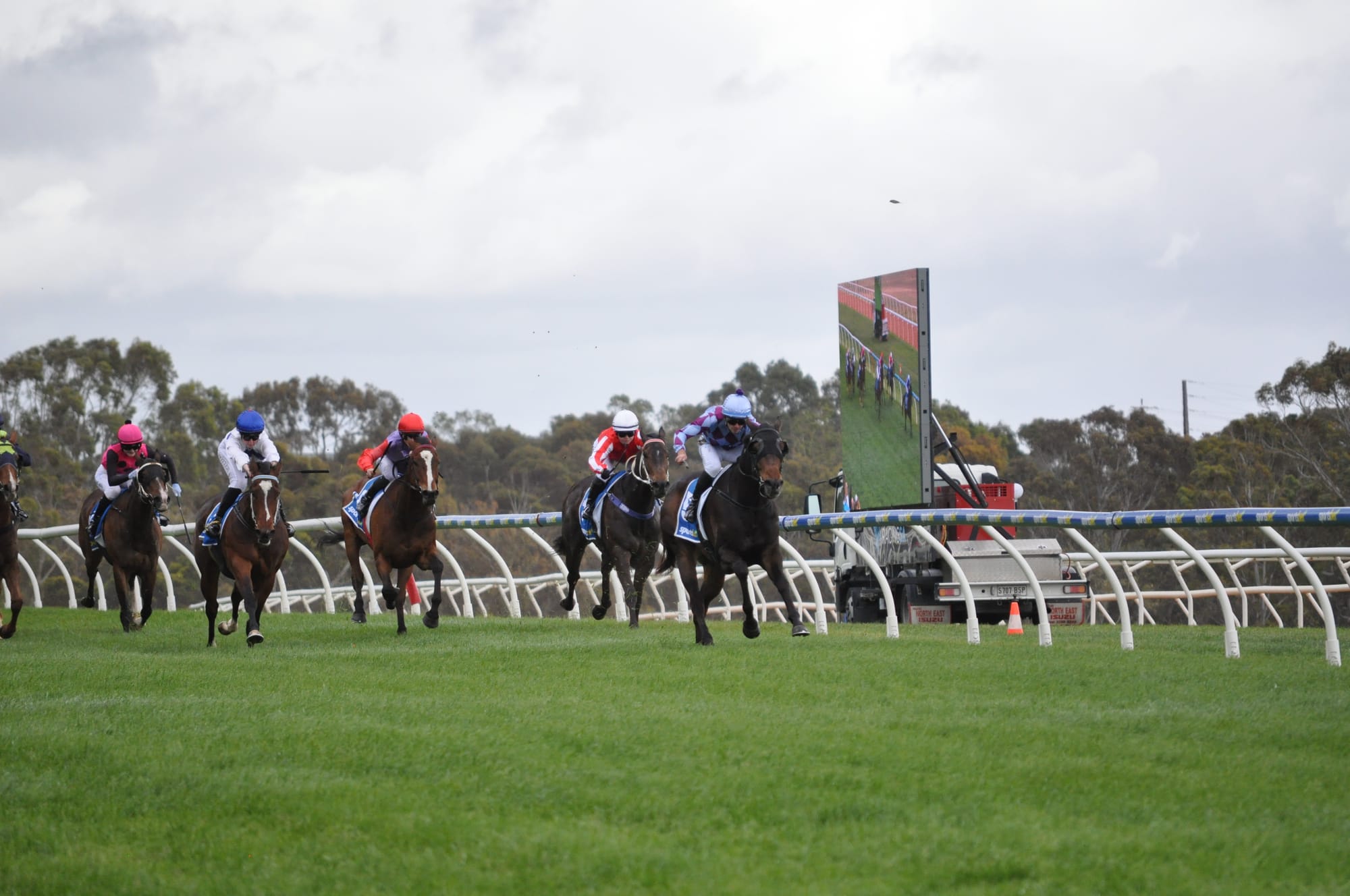 Vignerons Race Day delivers a treat
