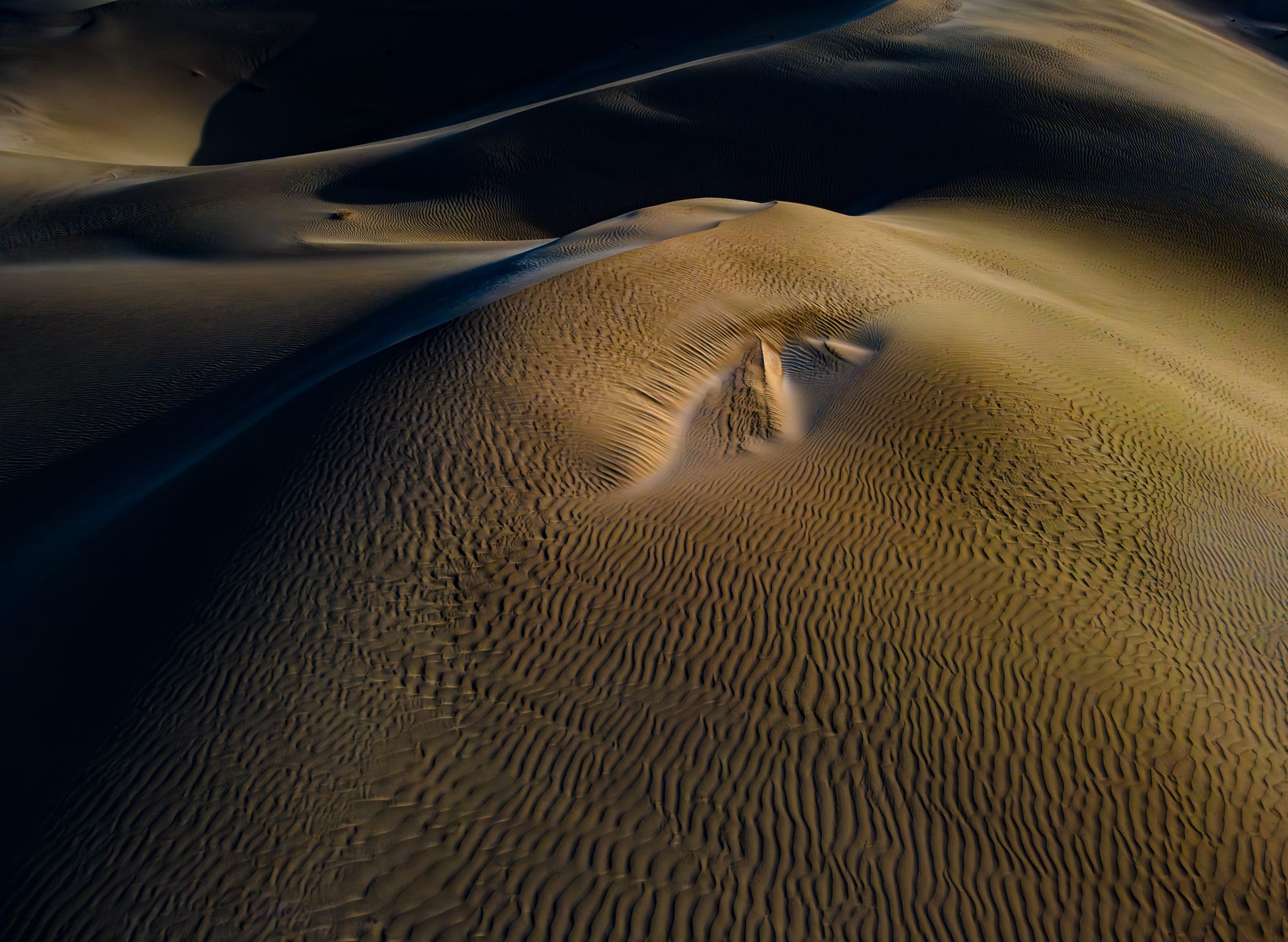 Leading photographers showcased at exhibition
