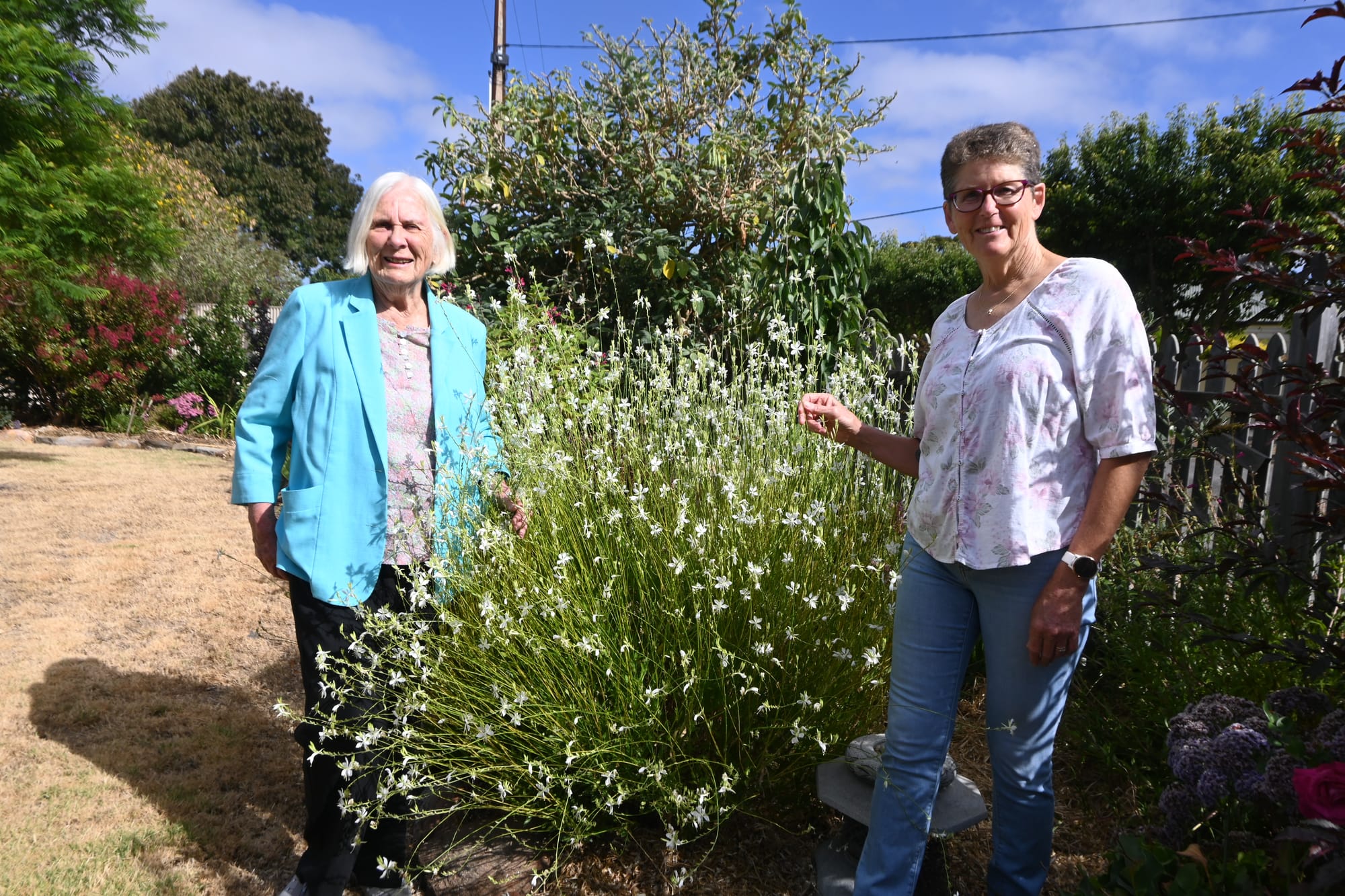 Ideas bloom at local club